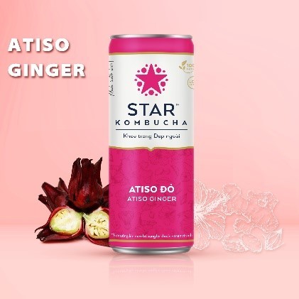 Star Kombucha atiso đỏ 