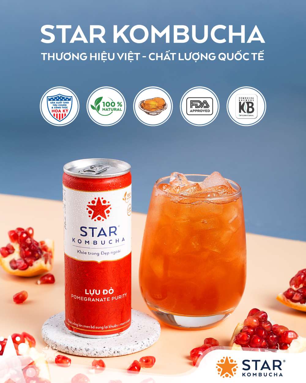 trà star kombucha tốt cho hệ miễn dịch