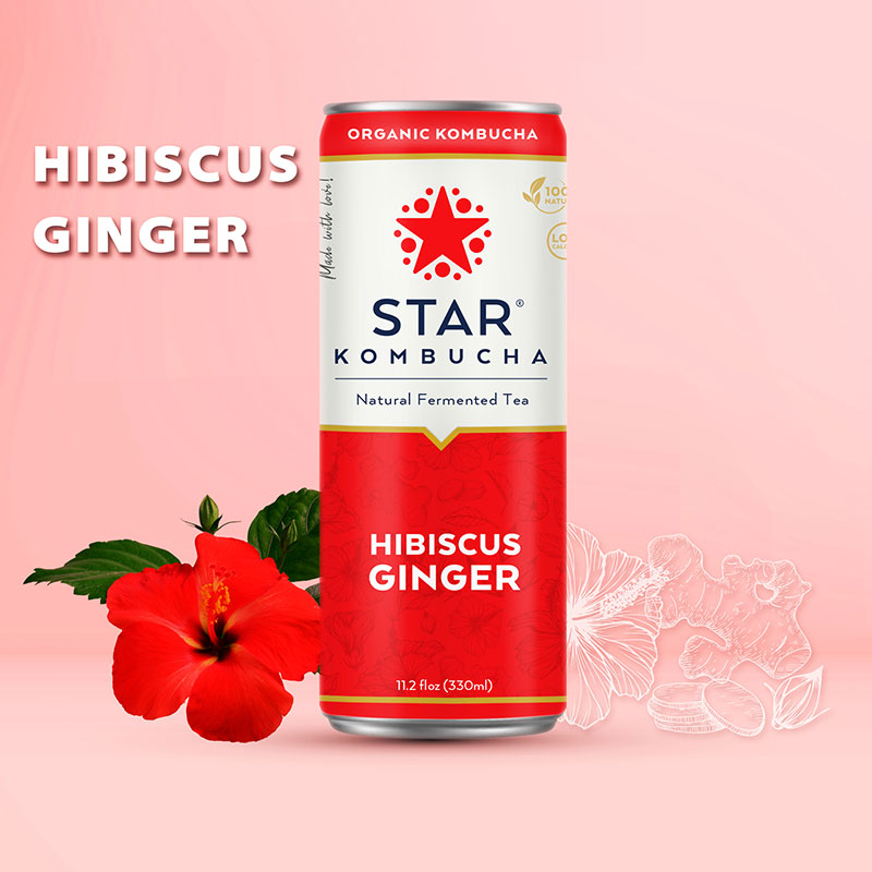 Hibiscus ginger